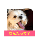 べんぺこ2（個別スタンプ：12）