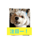 べんぺこ2（個別スタンプ：13）