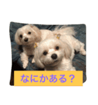 べんぺこ2（個別スタンプ：14）