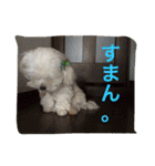 べんぺこ2（個別スタンプ：17）