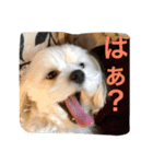 べんぺこ2（個別スタンプ：22）