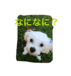 べんぺこ2（個別スタンプ：23）