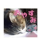 イシイさん（個別スタンプ：6）