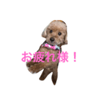 千綿鈴スタンプ（個別スタンプ：1）