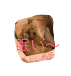 千綿鈴スタンプ（個別スタンプ：2）