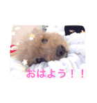 千綿鈴スタンプ（個別スタンプ：8）