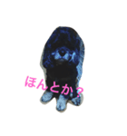 不機嫌なLOLO（個別スタンプ：4）