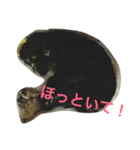 不機嫌なLOLO（個別スタンプ：7）