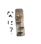 mokewaneko（個別スタンプ：6）