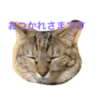 こぶとくろ（個別スタンプ：3）