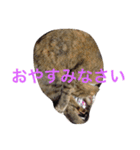 こぶとくろ（個別スタンプ：4）