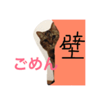 こぶとくろ（個別スタンプ：7）