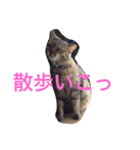 こぶとくろ（個別スタンプ：12）