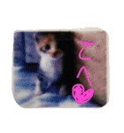 三毛猫みいこ（個別スタンプ：7）