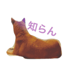 かぴちゃん②（個別スタンプ：3）