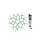 つぶやき微生物（個別スタンプ：30）