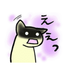 ねこ にゃんたろ（個別スタンプ：13）