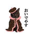 riku chan（個別スタンプ：3）