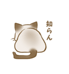 忠にゃん、ほくと（個別スタンプ：3）
