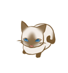 忠にゃん、ほくと（個別スタンプ：4）