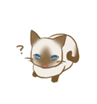 忠にゃん、ほくと（個別スタンプ：5）