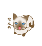 忠にゃん、ほくと（個別スタンプ：6）
