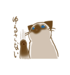忠にゃん、ほくと（個別スタンプ：13）
