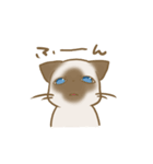 忠にゃん、ほくと（個別スタンプ：17）