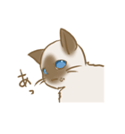 忠にゃん、ほくと（個別スタンプ：20）