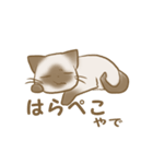 忠にゃん、ほくと（個別スタンプ：31）