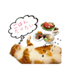 はるまる（個別スタンプ：3）