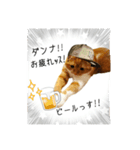 はるまる（個別スタンプ：6）