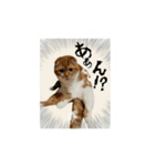 はるまる（個別スタンプ：7）