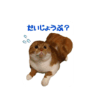 はるまる（個別スタンプ：10）
