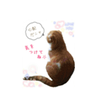 はるまる（個別スタンプ：12）