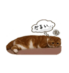 はるまる（個別スタンプ：13）