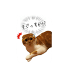 はるまる（個別スタンプ：14）