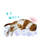はるまる（個別スタンプ：15）