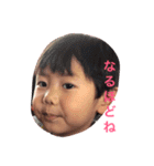 蓮斗くん（個別スタンプ：16）