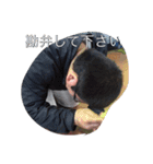 康弘水産 1（個別スタンプ：15）