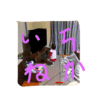 りんスタンプ（個別スタンプ：14）