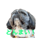 リュウ＆レン（個別スタンプ：1）