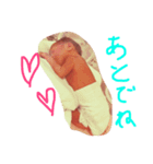 ななみちゃん-1（個別スタンプ：6）