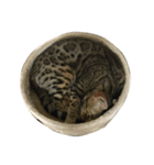 ムニ（個別スタンプ：13）