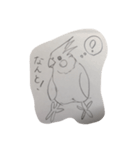 インコ大好きクラブ2（個別スタンプ：5）