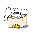 せんだいねこ（個別スタンプ：33）