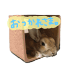 あぽるる（個別スタンプ：15）