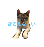 セブンといっしょ（個別スタンプ：2）