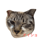 セブンといっしょ（個別スタンプ：3）