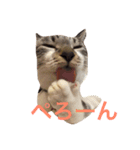 セブンといっしょ（個別スタンプ：4）